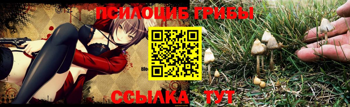 Псилоцибиновые грибы Cubensis  Мариинск 