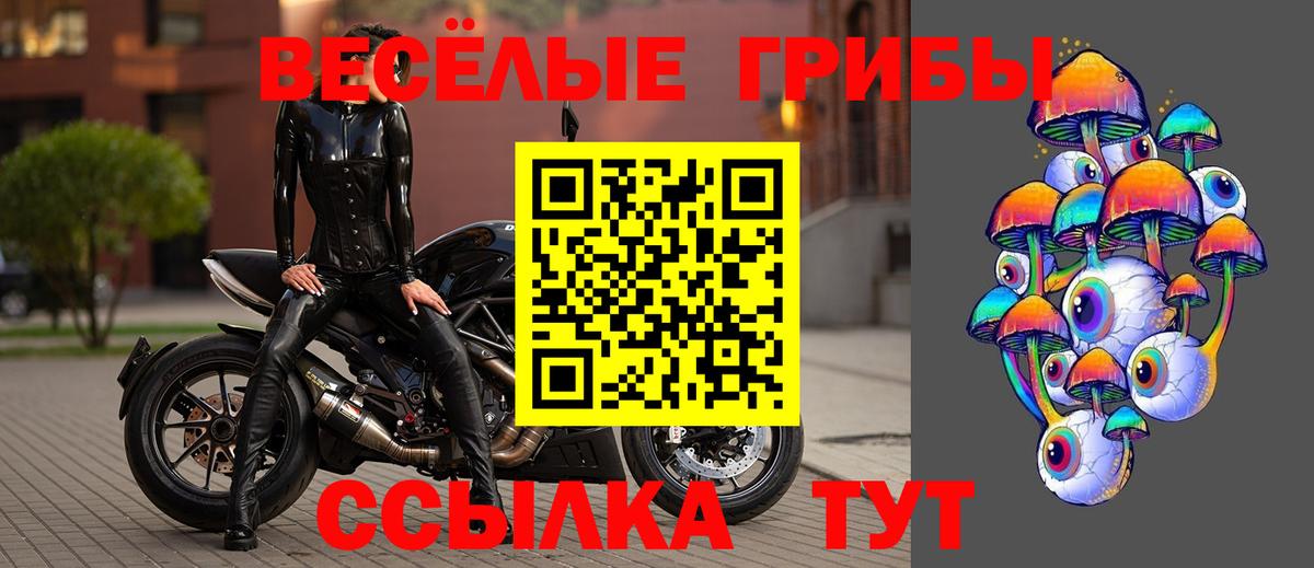 Галлюциногенные грибы Psilocybine cubensis  Галлюциногенные грибы мицелий  Вход с VPN  Мариинск 