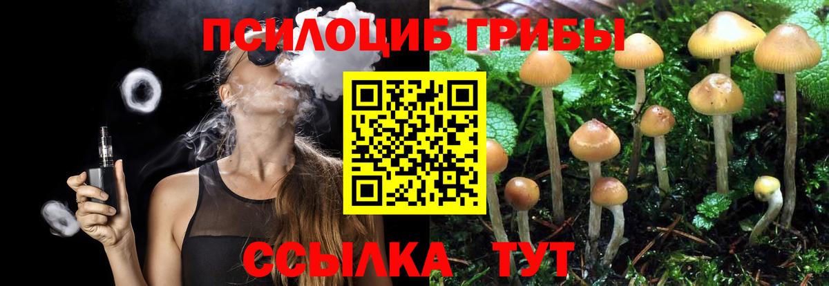 Галлюциногенные грибы мицелий Мариинск